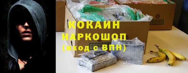 прущие грибы Куйбышев