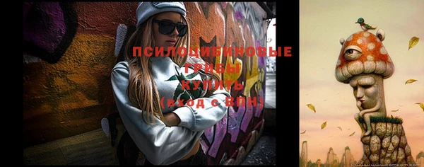 ECSTASY Козельск